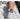 Perry Ellis Solar Powered Mens Watch Alloy Bracelet Water Resistant Analog Wrist Watches For Men 42Mm Case Relojes Para Hombres Elegant Gift For Man Silver by  – Buy Perry Ellis Solar Powered Mens Watch Alloy Bracelet Water Resistant Analog Wrist Watches For Men 42Mm Case Relojes Para Hombres Elegant Gift For Man Silver Online at Best Price, Premium Quality Product for Home, Office & Daily Use
