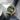 Rainten R9001 Men S Wrist Watches Luxury Mechanical Watches For Men With 999 Gold Leather Band Date Calendar Luminous Automatic Mens Watch by  – Buy Rainten R9001 Men S Wrist Watches Luxury Mechanical Watches For Men With 999 Gold Leather Band Date Calendar Luminous Automatic Mens Watch Online at Best Price, Premium Quality Product for Home, Office & Daily Use