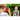 Ekids Spidey And His Amazing Friends Kids Camera With Sd Card Digital Camera For Kids With Video Recording Built In Digital Stickers by  – Buy Ekids Spidey And His Amazing Friends Kids Camera With Sd Card Digital Camera For Kids With Video Recording Built In Digital Stickers Online at Best Price, Premium Quality Product for Home, Office & Daily Use