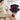 Tuob Knee Massager For Pain Relief 4 In 1 Cordless Knee Device With Red Light Therapy Airbag Heating And Vibration Portable Massager For Knee Home Use Benefit For Arm Knee Joint Pain Relief – Buy Tuob Knee Massager For Pain Relief 4 In 1 Cordless Knee Device With Red Light Therapy Airbag Heating And Vibration Portable Massager For Knee Home Use Benefit For Arm Knee Joint Pain Relief Online at Best Price, Premium Quality Product for Home, Office & Daily Use