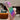 LCHULLE for Samsung Galaxy S25 Ultra Case for Women Girls, Cute Wave Frame Curly Shape with Love Heart Camera Protection Luxury Plating Shockproof Case for Galaxy S25 Ultra 5G, Colorful Dark Purple