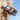Vlog Selfie Monitor Screen Magnetic Phone Vlog Selfie Monitor Screen 4K 30Fps Bluetooth Remote Back Camera Monitor For Vlog Live Stream Tiktok Compatible With Iphone Android by  – Buy Vlog Selfie Monitor Screen Magnetic Phone Vlog Selfie Monitor Screen 4K 30Fps Bluetooth Remote Back Camera Monitor For Vlog Live Stream Tiktok Compatible With Iphone Android Online at Best Price, Premium Quality Product for Home, Office & Daily Use