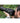 Nikon Coolpix P1100 Superzoom Digital Camera 125X Optical Zoom With Image Stabilization 16 Mp 4K Ultra Hd Video Wi Fi Connectivity Raw Format And Rotating Lcd Screen Black – Buy Nikon Coolpix P1100 Superzoom Digital Camera 125X Optical Zoom With Image Stabilization 16 Mp 4K Ultra Hd Video Wi Fi Connectivity Raw Format And Rotating Lcd Screen Black Online at Best Price, Premium Quality Product for Home, Office & Daily Use