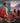 Peicheng Speaker Portable Wireless Bluetooth Speakers Waterproof Loud Stereo Sound With Rgb Lights Tws Long Playtime For Home Party Outdoor Electronic Gadgets 1Pcs Red – Buy Peicheng Speaker Portable Wireless Bluetooth Speakers Waterproof Loud Stereo Sound With Rgb Lights Tws Long Playtime For Home Party Outdoor Electronic Gadgets 1Pcs Red Online at Best Price, Premium Quality Product for Home, Office & Daily Use
