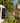 Fitness Tracker 2025 Smart Watch With Blood Pressure Heart Rate Sleep Monitor Ip67 Waterproof Step Calorie Counter Pedometer Fitness Activity Watch For Men Women Android Ios Phone Pink – Buy Fitness Tracker 2025 Smart Watch With Blood Pressure Heart Rate Sleep Monitor Ip67 Waterproof Step Calorie Counter Pedometer Fitness Activity Watch For Men Women Android Ios Phone Pink Online at Best Price, Premium Quality Product for Home, Office & Daily Use