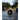 Sencubeair Portable Co2 Detector High Precision Ndir Sensor Meter Indoor Co2 Monitor Test Range 400 5000 Ppm 24 Hour Runtime Li Battery Carbon Dioxide Detector For Home Car Grow Tents Travel by  – Buy Sencubeair Portable Co2 Detector High Precision Ndir Sensor Meter Indoor Co2 Monitor Test Range 400 5000 Ppm 24 Hour Runtime Li Battery Carbon Dioxide Detector For Home Car Grow Tents Travel Online at Best Price, Premium Quality Product for Home, Office & Daily Use