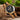 Bobo Bird Men S Wooden Watch Chronograph Quartz Watch With Date Display 43Mm Large Dial Luminous Hands Natural Wood Stainless Steel Wristwatch Gift For Him Gold White Oak – Buy Bobo Bird Men S Wooden Watch Chronograph Quartz Watch With Date Display 43Mm Large Dial Luminous Hands Natural Wood Stainless Steel Wristwatch Gift For Him Gold White Oak Online at Best Price, Premium Quality Product for Home, Office & Daily Use