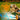 Coolsheepsia Dog Bark Deterrent Device Ultrasonic Anti Barking Device For Dogs Training Safe And Effective Up To 35Ft Long Range Rechargeable Portable Bark Shield Indoor And Outdoor Use Orange – Buy Coolsheepsia Dog Bark Deterrent Device Ultrasonic Anti Barking Device For Dogs Training Safe And Effective Up To 35Ft Long Range Rechargeable Portable Bark Shield Indoor And Outdoor Use Orange Online at Best Price, Premium Quality Product for Home, Office & Daily Use