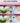 Peloni Phone Monitor Magnetic Selfie Screen For Iphone Monitor Back Camera Monitor Vlog Screen Live Stream For Tiktok 1080P Wireless Recording 30Fps Bluetooth Remote 3 Level Brightness Iphone Android by  – Buy Peloni Phone Monitor Magnetic Selfie Screen For Iphone Monitor Back Camera Monitor Vlog Screen Live Stream For Tiktok 1080P Wireless Recording 30Fps Bluetooth Remote 3 Level Brightness Iphone Android Online at Best Price, Premium Quality Product for Home, Office & Daily Use