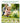 Microscope Camera For Kids Gifts Toys Handheld Pocket Microscopes With 2 4 Screen And Autofocus Mini Digital Educational Science Kit For Christmas Birthday For Age 3 5 5 7 8 12 Girls Boys Green by  – Buy Microscope Camera For Kids Gifts Toys Handheld Pocket Microscopes With 2 4 Screen And Autofocus Mini Digital Educational Science Kit For Christmas Birthday For Age 3 5 5 7 8 12 Girls Boys Green Online at Best Price, Premium Quality Product for Home, Office & Daily Use