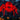 12 In 1 Halloween Christmas Projector Outdoor 3D Dynamic Halloween Decorations Clearer Ghost Spider Bat Skull Witch Nativity Hd Patterns Waterproof For Window Wall Cemetery Christmas Decor – Buy 12 In 1 Halloween Christmas Projector Outdoor 3D Dynamic Halloween Decorations Clearer Ghost Spider Bat Skull Witch Nativity Hd Patterns Waterproof For Window Wall Cemetery Christmas Decor Online at Best Price, Premium Quality Product for Home, Office & Daily Use