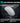 Asus Rog Harpe Ii Ace Wireless Esports Gaming Mouse 2025 Pro Tested Right Handed 48G Lightweight Tri Mode Connectivity 42K Dpi 8K Polling 101Hr Battery Web Based Tool Pc Mac Support White – Buy Asus Rog Harpe Ii Ace Wireless Esports Gaming Mouse 2025 Pro Tested Right Handed 48G Lightweight Tri Mode Connectivity 42K Dpi 8K Polling 101Hr Battery Web Based Tool Pc Mac Support White Online at Best Price, Premium Quality Product for Home, Office & Daily Use