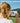 Instant Camera For Kids With Print Paper 1080P Hd Kids Camera Instant Print With 32Gb Sd Card Girls Toys For Ages 5 7 Birthday Gifts For 5 6 7 8 9 Year Old Girls by  – Buy Instant Camera For Kids With Print Paper 1080P Hd Kids Camera Instant Print With 32Gb Sd Card Girls Toys For Ages 5 7 Birthday Gifts For 5 6 7 8 9 Year Old Girls Online at Best Price, Premium Quality Product for Home, Office & Daily Use