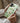 Starvip For Iphone 17 Case Cute Wireless Charging Compatible Dual Layer Hard Shell Silicone Cover Aesthetic Protective Phone Case For Women Vintage Magnolia Flowers – Buy Starvip For Iphone 17 Case Cute Wireless Charging Compatible Dual Layer Hard Shell Silicone Cover Aesthetic Protective Phone Case For Women Vintage Magnolia Flowers Online at Best Price, Premium Quality Product for Home, Office & Daily Use