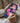 Starvip For Iphone 17 Case Wireless Charging Compatible Dual Layer Soft Silicone Hard Shell With Cute Aesthetic Wildflower Design Protective Phone Cover For Women Vibrant Lotus Flower – Buy Starvip For Iphone 17 Case Wireless Charging Compatible Dual Layer Soft Silicone Hard Shell With Cute Aesthetic Wildflower Design Protective Phone Cover For Women Vibrant Lotus Flower Online at Best Price, Premium Quality Product for Home, Office & Daily Use