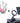 Wireless Freedom | Juhoo Wireless Mouse With Nano Receiver For Pc And Phone | Magnetic Rotatable Car Holder by Usa Warehouse – Buy Wireless Freedom | Juhoo Wireless Mouse With Nano Receiver For Pc And Phone | Magnetic Rotatable Car Holder Online at Best Price, Premium Quality Product for Home, Office & Daily Use