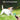 BONSO Bark Control Device 2-in-1 Anti Barking Device&Dog Training Tool, 16.4 Ft Large Control Range Sonic Bark Deterrents, Stop Bad Behavior Dog Silencer, Electronic Dog Whistle Indoor&Outdoor(Black)_216