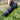 Canon RF600mm F11 is STM [600mm / F11 Canon RF Mount] Lens_92