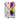 Casely iPhone 15 Case | Ink & Iris | Vintage Floral | Compatible with MagSafe | Classic Ultra Slim Design_577