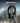 Corsair HS35 Surround v2 Multiplatform Wired Gaming Headset Dolby 7.1 Flexible Omni-Directional Microphone Universal 3.5mm Connection PC, Mac, PS5, PS4, Xbox, Nintendo Switch, Mobile Carbon
