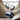 ERAZER XP6 Translation Earbuds Real Time - AI 135 Language Translator Earbuds, Audifonos Traductores Ingls Espaol, 4-in-1 Translating Device, Translate Ear Buds for Travel Learning_blackblue_2069