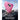 ESR for iPhone 17 Case, 7X Military-Grade Drop Protection, Shock-Absorbing Rugged Cover with Camera Control Button, MagSafe Accessories Compatible, Cyber Series, Rosy Pink_133