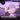 FIFINE Wired RGB Gaming Headset, PC Over-Ear Streaming Headset with USB, 7.1 Surround Sound, Noise-Cancelling Mic, Soft Ear Pads, 4 EQ Modes for PC, Laptop, Mac, PS4, PS5 - AmpliGame H13P (Pink)_242