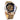 FORSINING Men's Skeleton Steampunk Watch for Men Mechanical Minimalist Retro Golden Wrist Watch Transparent Business Mesh Band Watch_1