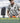 Hidaint Wearable Micphone Speaker Wireless Cordless Bluetooth Waterproof Portable Speaker with Michophone Clip on Speaker Bluetooth Running Speaker_Black_2205