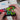 Hyperkin - Limited Edition Pixel Art - Miraculous Edition (Bug & Cat) - Bluetooth Controller - Officially Licensed - For Nintendo switch 2/switch/OLED, PC, Mac, Android, Apple iOS, Steam, Tesla_4