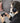 HyperX Cloud Chat Headset Official PlayStation Licensed for PS4, Clear Voice Chat, 40mm Driver, Noise-Cancellation Microphone, Pop Filter, In-Line Audio CONTROLS, Lightweight, Reversible_Black_702