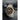 Invicta Men's 14876 Specialty Chronograph Black Textured Dial Two Tone Stainless Steel Watch_1966