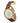 Invicta Men's 16011 S1 Rally Analog Display Japanese Quartz Brown Watch_BrownWhite_1860