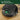 iRobot Roomba 205 DustCompactor Vac Robot Vacuum - Compacts Dirt Inside, No Emptying for 60 Days, Space Saving, No Dock Needed, Bagless, Intense Power-Lifting Suction, LiDAR Navigation, Multi-Surface, Black_18