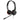 Jabra Evolve 20 SE Wired Dual-Ear Headset with Microphone for Work, USB-A and USB-C Wired Headphones, Microsoft Teams Certified, On-Ear Comfort, Connects to Laptops, iPhone & Android Devices_1
