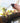Jevocom 30-120mm Cell Phone Macro Lens, for ipad,iPhone,Samsung, Android, Pixel,Phone Macro Lens_Unknown_2834