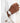 Lacoste Tuilerie Women's Quartz Stainless Steel Case Watch with Stainless Steel Bracelet, Silver (Model: 2001301)_115