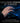 Logitech Gaming Mouse | Logitech G Pro Wireless Gaming Mouse Shroud Edition | Premium High-Performance Gaming