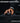 Logitech G PRO X Superlight 2 SE Wireless Gaming Mouse, 60 g pro-Grade Mouse with 5 programmable Buttons, 44K DPI Sensor, 888+ IPS, 1 kHz Report Rate, USB-C Charging for PC/Mac - Red_89