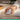 Logitech Signature Comfort Plus M850 L Wireless Mouse, Bluetooth Mouse with Palm Cushion, Silent Clicks, 24-Month Battery, Customizable Buttons, for Windows, Mac, iPad - Off White, OffWhite_130