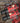 PULITUO Cordless Drill Set, 20V Electric Power Drill with Battery And Charger, 30N.m and 21+1 Torque, 2 Variable Speeds, with 59pcs Drill Driver Bits Kit, Screws Set(Red)_vDrillRedSetB_310