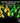 Razer BlackWidow V4 X Mechanical Gaming Keyboard: Yellow Switches Linear & Silent - 6 Macro Keys - Chroma RGB - Doubleshot ABS Keycaps - Roller & Media Keys - Snap Tap_2070
