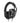 RIG 300 PRO HS PlayStation Gaming Headset - PS5, PS4, Xbox Series X, Xbox Series S, Xbox One, Nintendo Switch, Mobile & Laptop with 3.5mm - Flip-to-Stow Mic, 40mm Speakers - Black