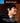 Sennheiser MOMENTUM True Wireless 4 Black Copper_Black_160