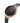 SHENGKE Creative Watch Ultra-Thin Strap Casual Fashion Quartz Minimalist Watch, Black(0137L06), Japanese_BlackL_2658