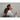 Sony WI-C100 Wireless in-Ear Bluetooth Headphones with 25 Hours Battery Life, Clear Sound, Lightweight Design, IPX4 Water Resistance, Hands-Free Calling, Compatible with Android & iOS Black_937