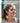 Soundcore C40i by Anker, Open-Ear Earbuds, Clip-On Headphones, Flexible Joint Design, Button Controls, Lightweight Comfort, Stable Fit with Attachable Ear Grips, Expansive Drivers for Clear Sound, Golden_17