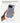 Spigen Pixel 10 Pro XL Case | Ultra Hybrid MagFit Design | Premium Protection with MagSafe Compatibility