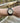 Timex Men's Expedition Scout 40mm Watch Cream Dial Black Case & Brown Leather Strap_256
