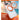 TORRAS 360 Magnetic Stand for iPhone 17 Pro Max Case, [Fit for MagSafe] [4X Military-Grade Protection] Slim Case for iPhone 17 Pro Max 6.9" 2025, Clear-Orange, Ostand O3 Fitness Series_345